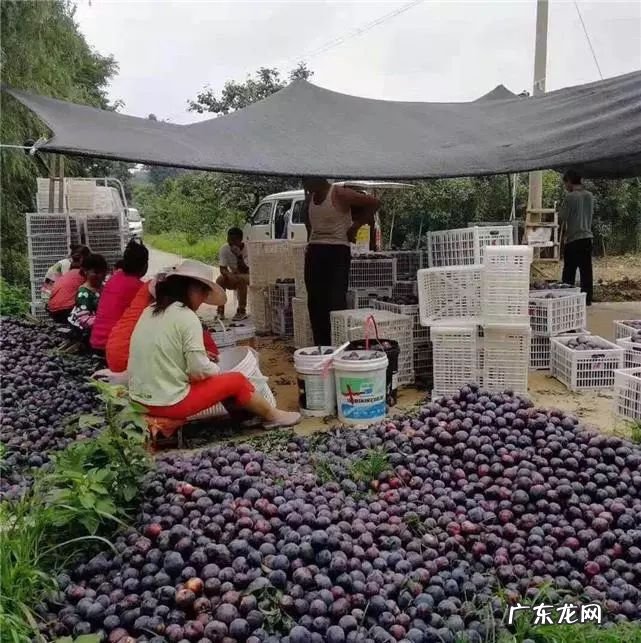 一淘网 一淘 官网