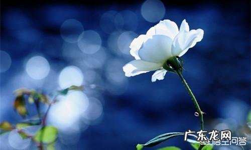 有哪些伤感的签名？