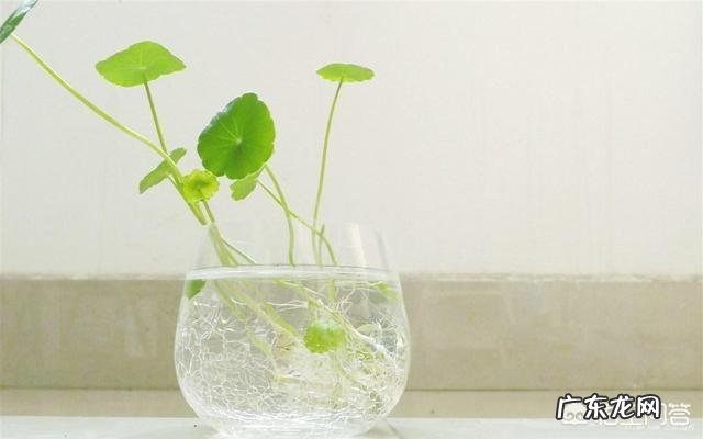 有哪些伤感的签名?