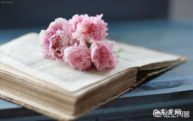 有哪些伤感的签名?