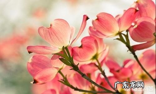 有哪些伤感的签名?