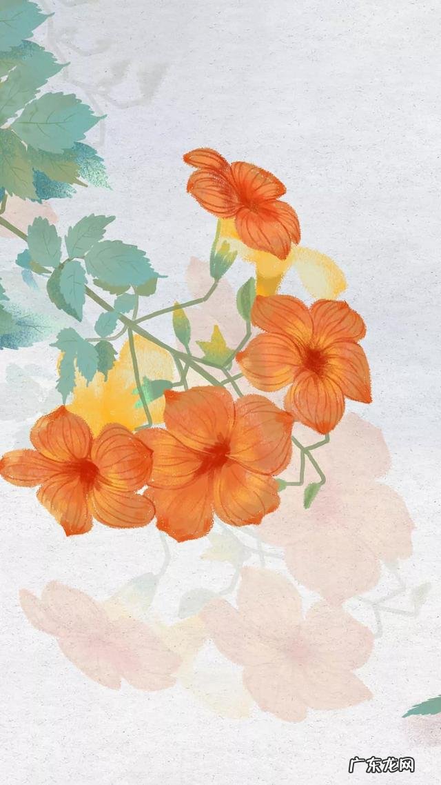 有哪些伤感的签名?