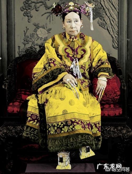 清朝十二个皇帝，为什么叫大清十三王朝？