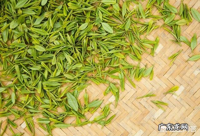 怎样选购茶叶才不会入坑？