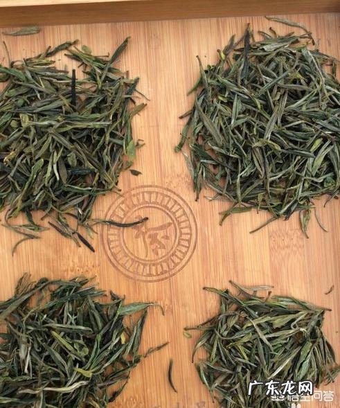 怎样选购茶叶才不会入坑？