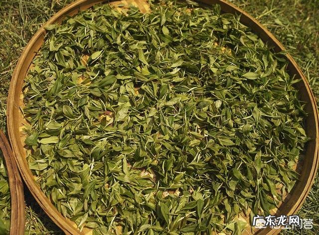 怎样选购茶叶才不会入坑？