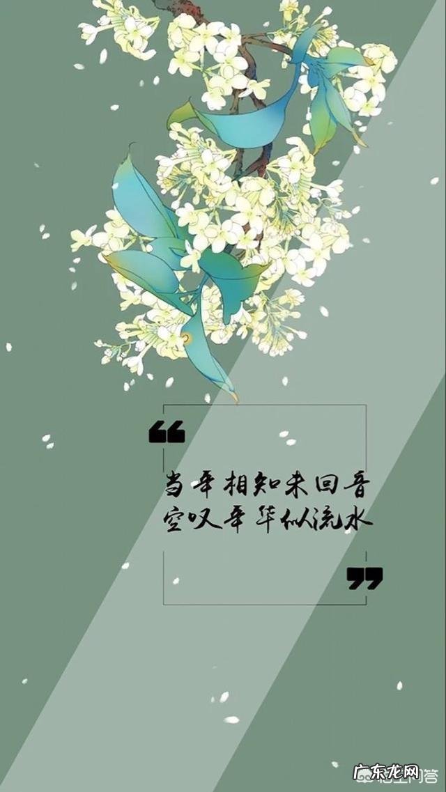 你读过最美的告白的句子是什么?