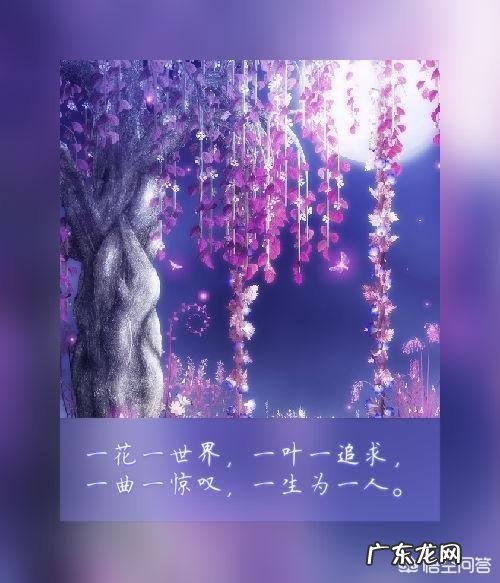 你读过最美的告白的句子是什么?