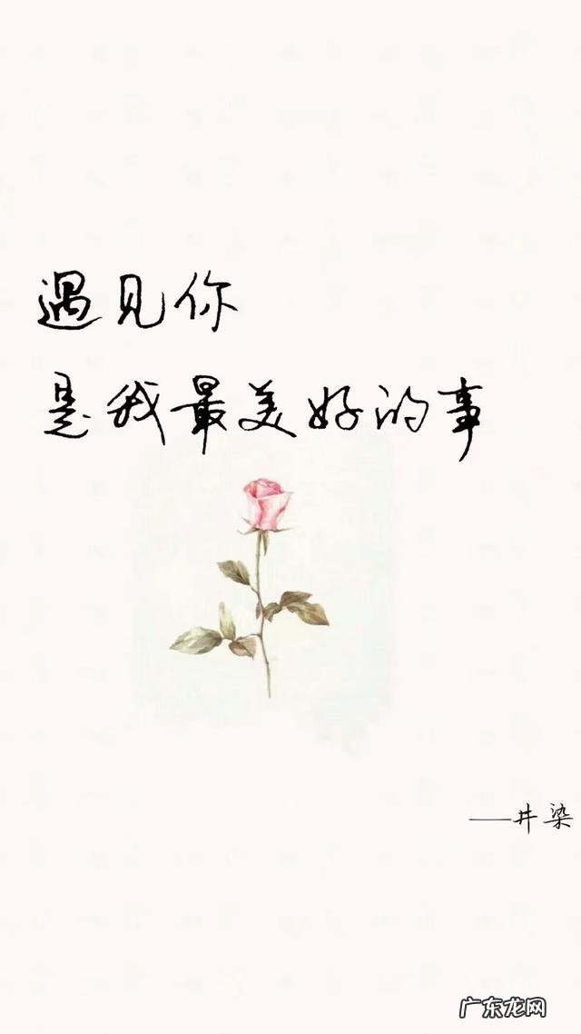 你读过最美的告白的句子是什么?