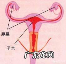 月经期间头疼是怎么回事?