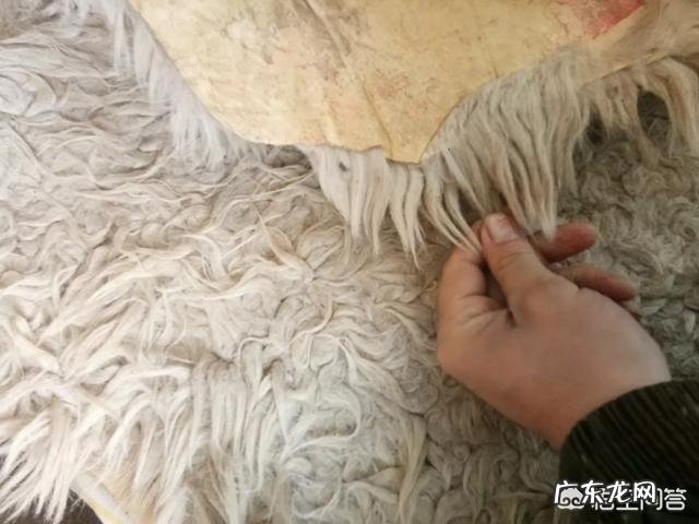 对于冬天的寒冷,你有怎样的御寒小妙招?