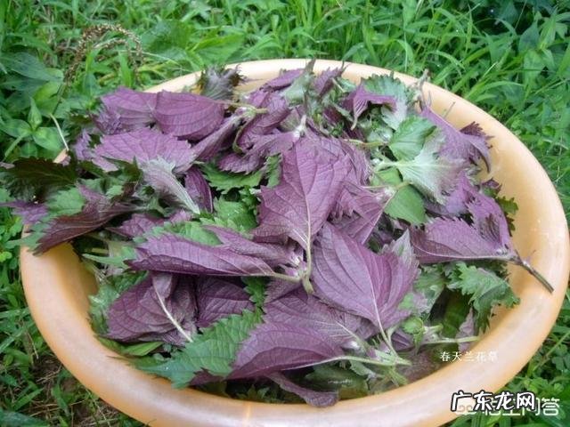 螃蟹蒸多长时间为好?