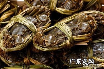 螃蟹蒸多长时间为好?