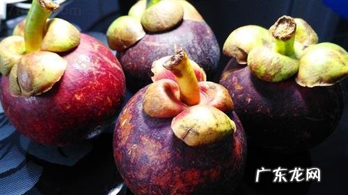 山竹的药用价值和功效 山竹的功效与作用