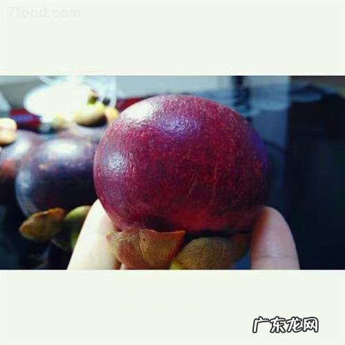 山竹的药用价值和功效 山竹的功效与作用