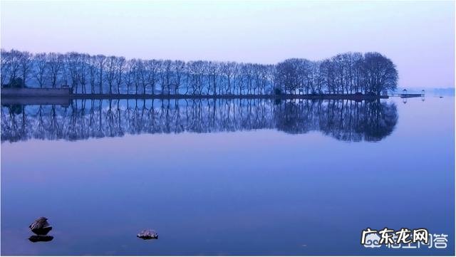 摄影时，怎么搭配色彩，可以让画面更“鲜活”？