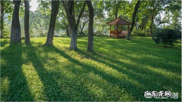 摄影时，怎么搭配色彩，可以让画面更“鲜活”？