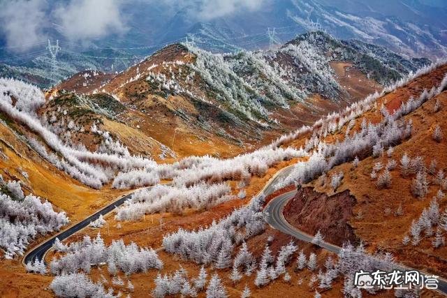 摄影时，怎么搭配色彩，可以让画面更“鲜活”？