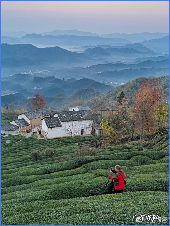 摄影时，怎么搭配色彩，可以让画面更“鲜活”？