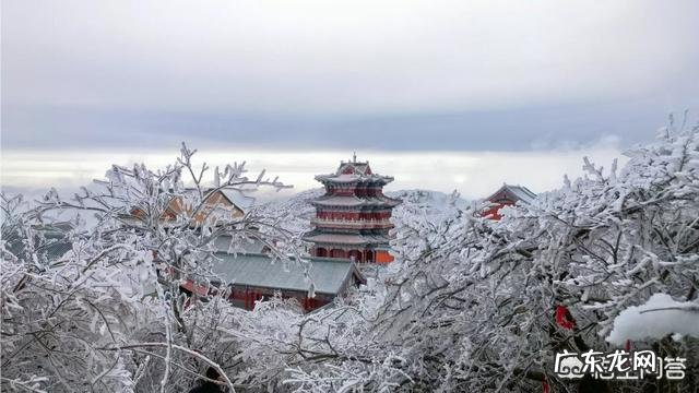 摄影时，怎么搭配色彩，可以让画面更“鲜活”？