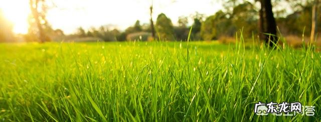 有哪些适合发朋友圈的心情哲理语录?