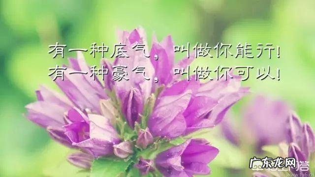 有哪些适合发朋友圈的心情哲理语录?