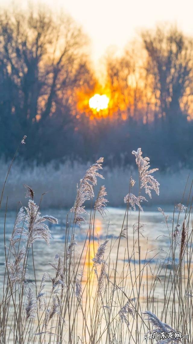 有哪些适合发朋友圈的心情哲理语录?