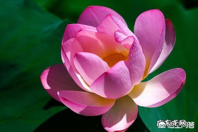 有哪些适合发朋友圈的心情哲理语录?