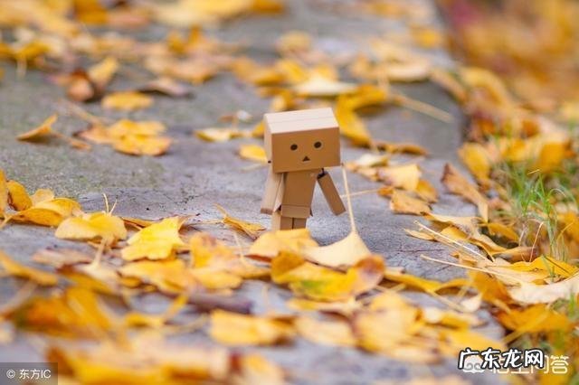 有哪些适合发朋友圈的心情哲理语录?