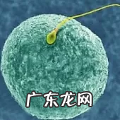 有什么办法能生男孩 怎么能生男孩