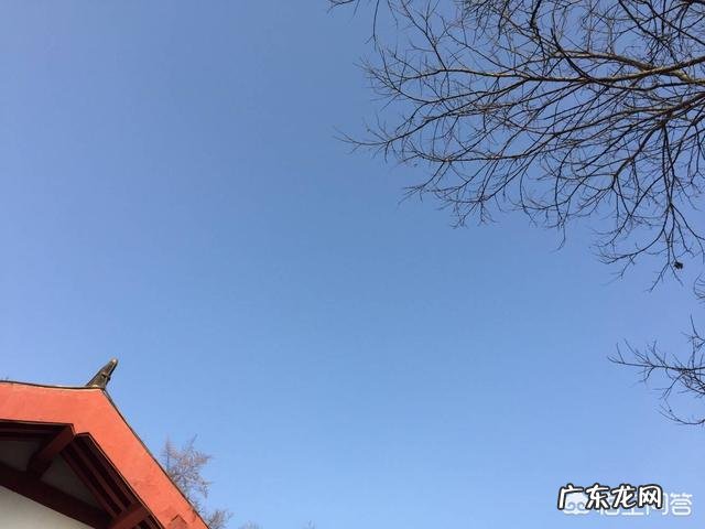 如果你的领导是一位面面俱到凡事亲力亲为的领导,如何在这样的领导下做一个好下属?