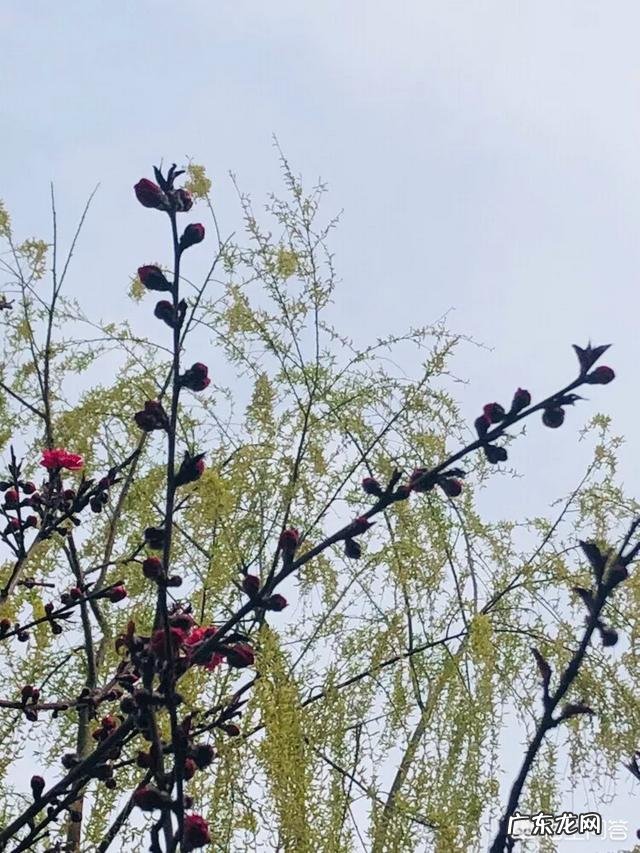 如果你的领导是一位面面俱到凡事亲力亲为的领导,如何在这样的领导下做一个好下属?