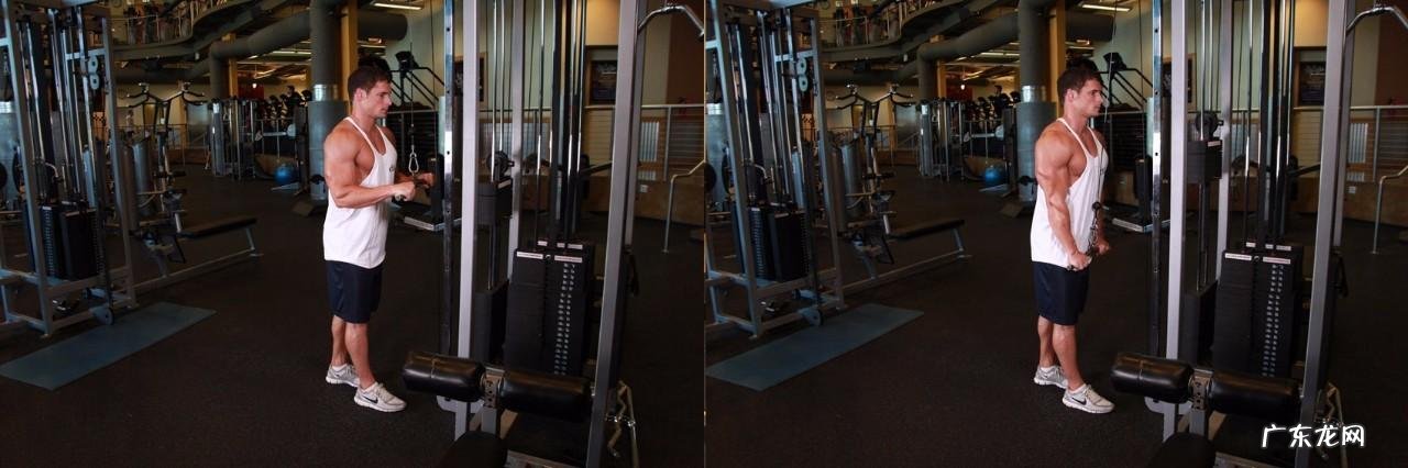 求个健身房减脂计划?