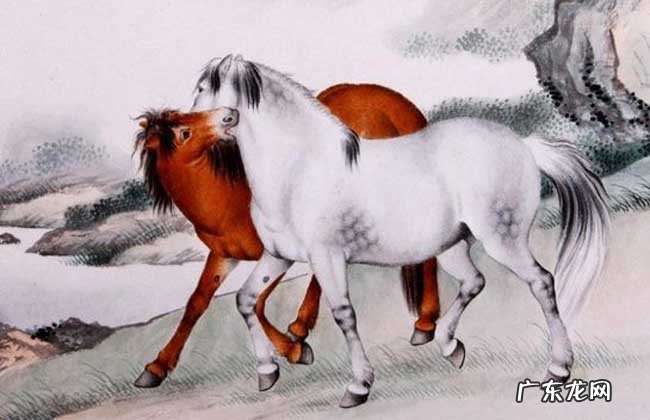 十二生肖成语大全及解释 十二生肖的成语有哪些