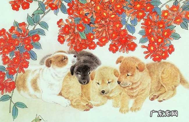 十二生肖成语大全及解释 十二生肖的成语有哪些