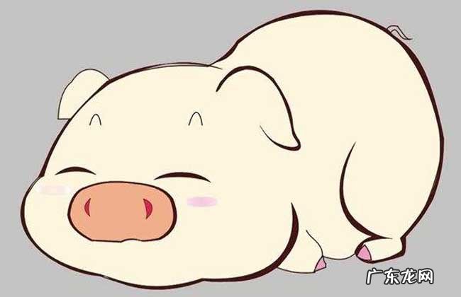 十二生肖成语大全及解释 十二生肖的成语有哪些