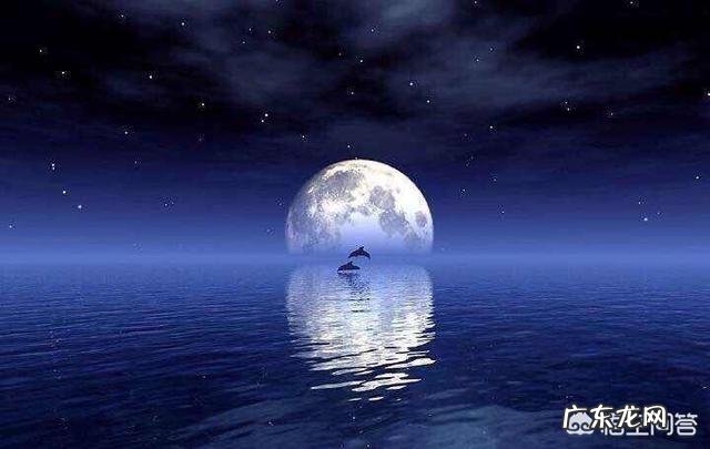 历史上关于中秋节的诗歌有很多,哪些诗给你的印象最深刻?