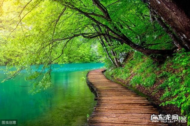 历史上关于中秋节的诗歌有很多,哪些诗给你的印象最深刻?