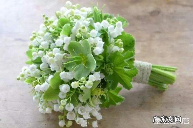 七夕节,女生最喜欢什么礼物?