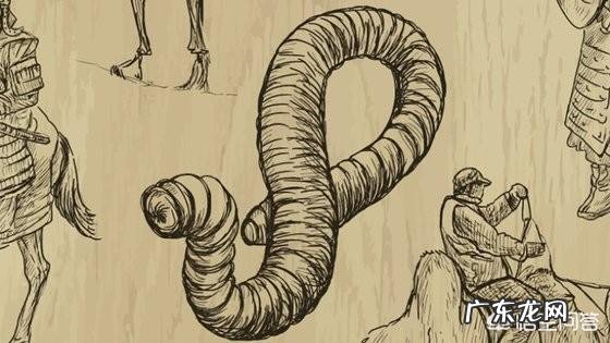 蒙古死亡之虫真的存在吗?