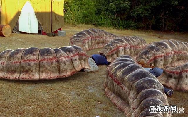 蒙古死亡之虫真的存在吗?