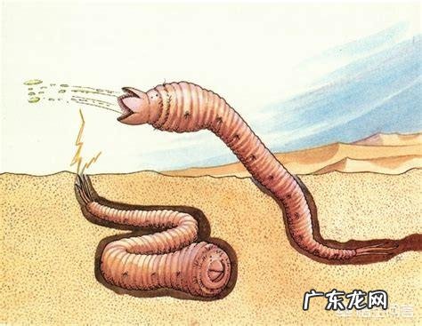 蒙古死亡之虫真的存在吗?