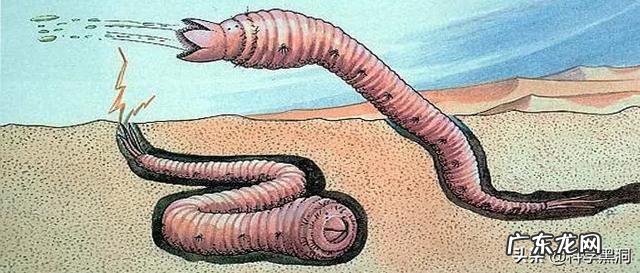 蒙古死亡之虫真的存在吗?