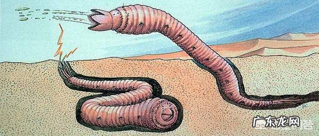 蒙古死亡之虫真的存在吗?