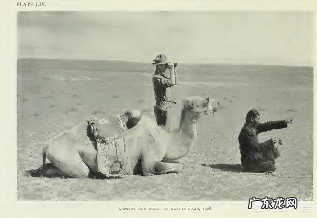 蒙古死亡之虫真的存在吗?