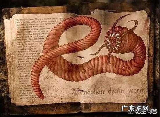 蒙古死亡之虫真的存在吗?