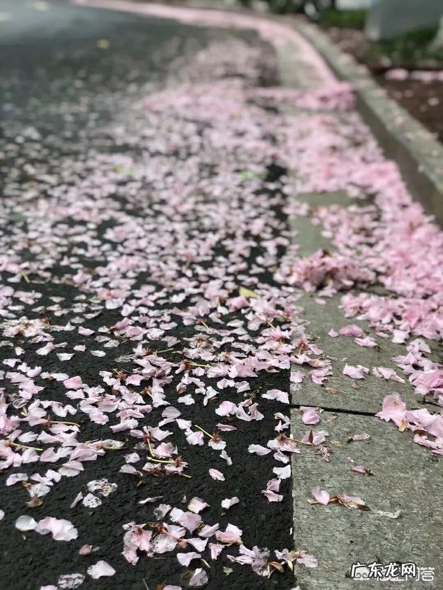 怎么能迅速地提高情商?