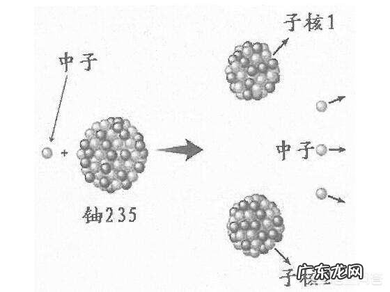 日本发生核泄漏，泄露的铀和钚哪个危害更大？