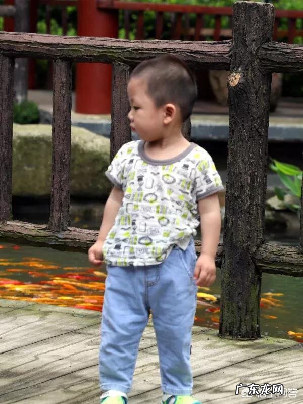 早教课程注重培养孩子的哪些能力?