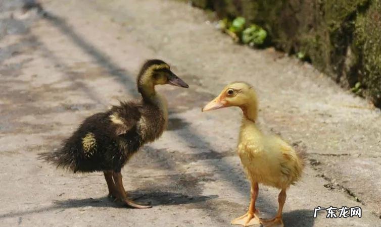 穷人做什么生意来钱快 什么生意赚钱